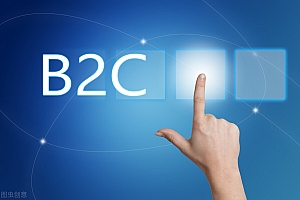 B2C电商APP开发需要什么功用