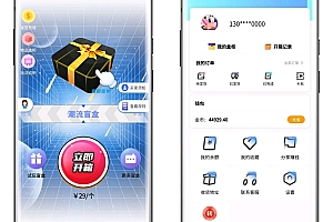 冰雪盲盒H5开发,盲盒软件开发,盲盒商城搭建,多款成品,源码二开定制