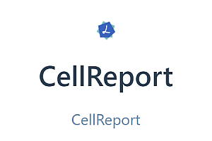 复杂统计报表制作、运行工具CellReport