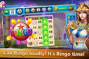 【单机游戏】Bingo Cute – Vegas Bingo Games【单机游戏代码】