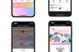 正版脱单盲盒恋爱交友源码,婚恋相亲源码,一元交友存取纸条,易码支付封装app,代理分销