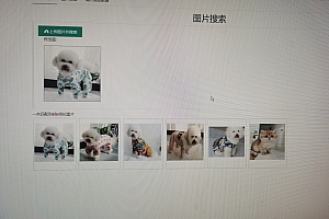 c#  结合AI 模型 开发的以图搜图,源代码,可以网站内搜索,或者改造成本地搜索