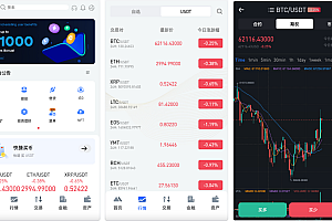 多语言交易所/合约交易+期权交易+币币交易+合约交易跟单+锁仓挖矿+IEO申购+NFT盲盒+双币理财+平台币发行+平台币行情控制+机器人/pc端wap端uniapp纯源码+后端PHP