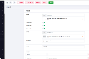 【运营版】跨境电商H5可封app-php多语言海外跨境电商