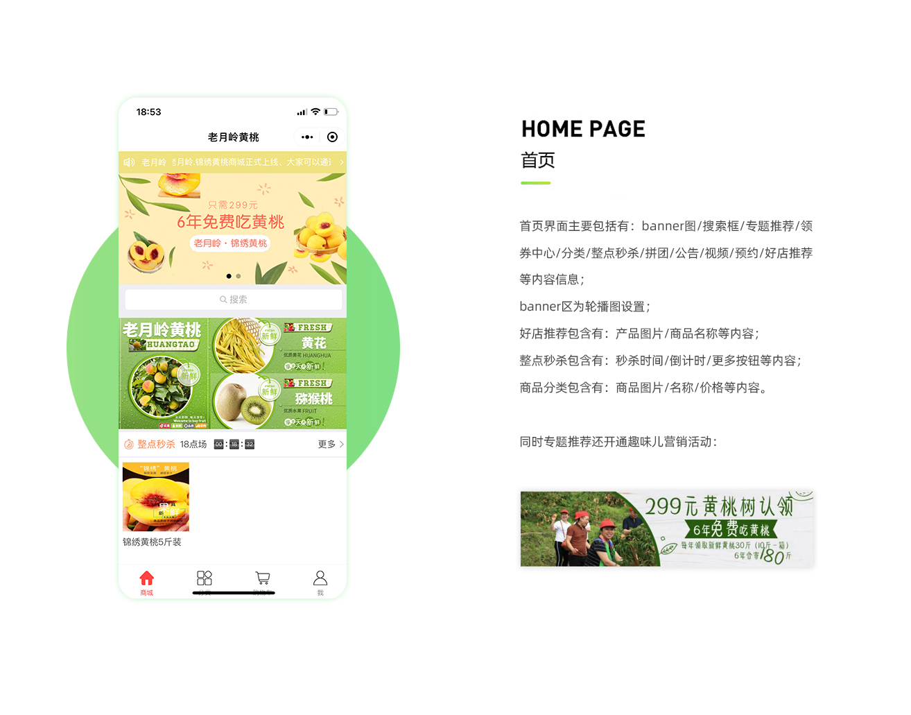 黄桃小程序源码