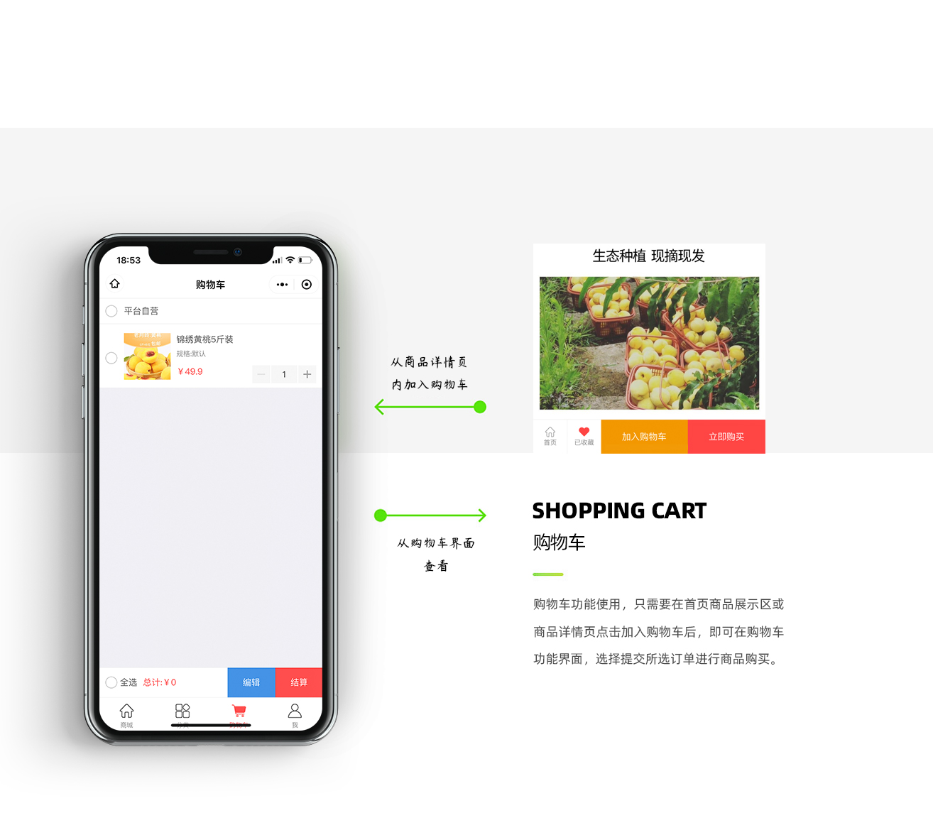 黄桃小程序源码