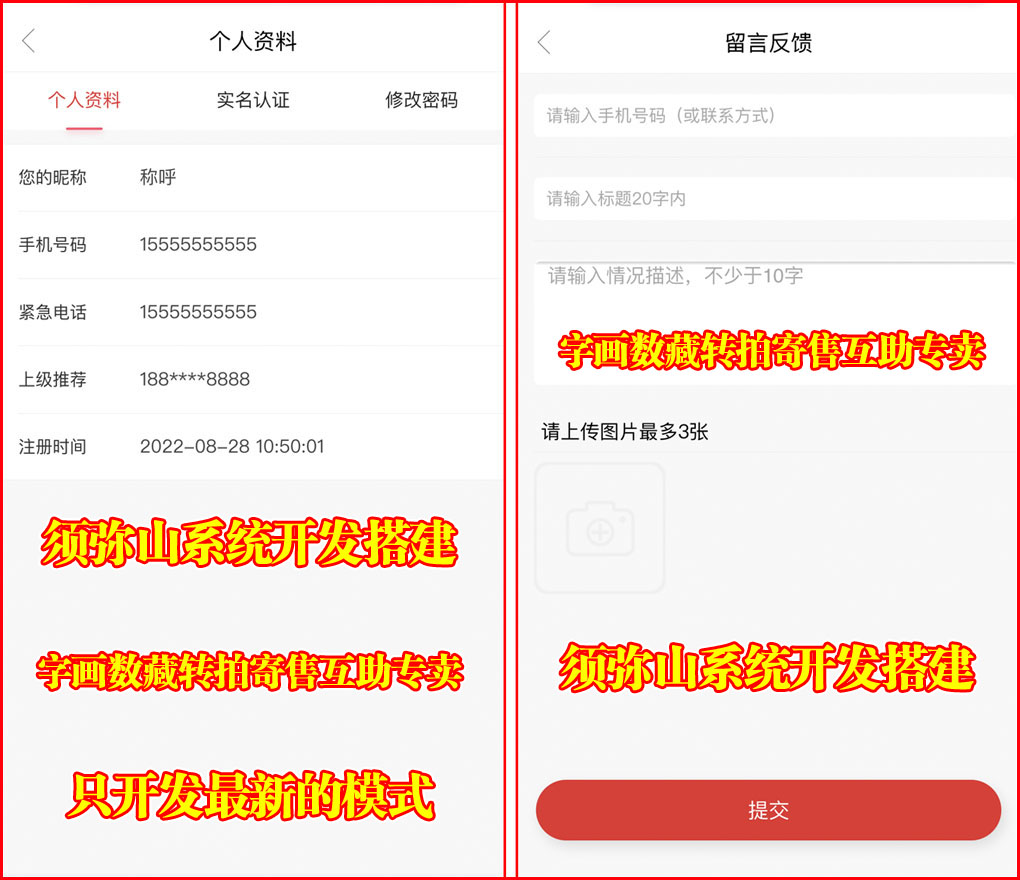 【独家版】NFT互助转拍源码 | 数字藏品互拍 | 区块链+NFT数字藏品.+互助 | 集成游戏羊了个羊