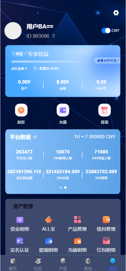 多元化数字经济理财项目