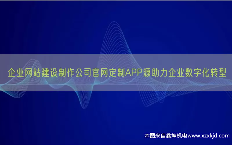 企业网站建设制作公司官网定制APP源助力企业数字化转型(pic1)