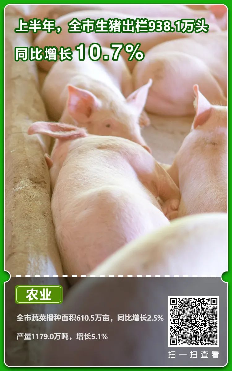 2022年上半年重庆市经济运行情况分析及最新数据报告