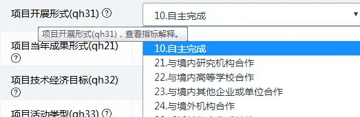 高企必看:火炬系统年报填写全攻略,轻松搞定年报提交
