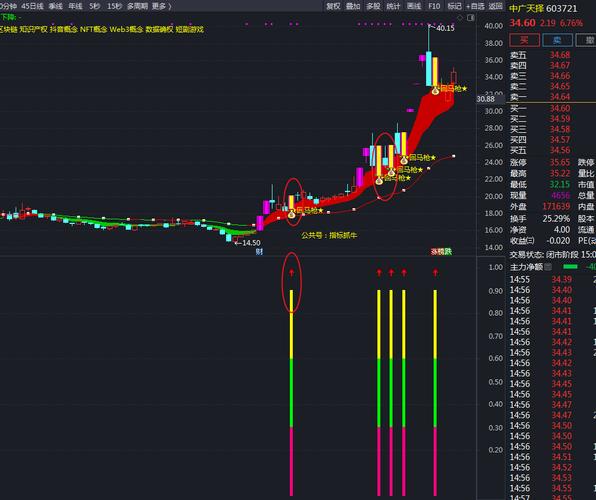 七彩金钻指标源码揭秘:常见类型解析与投资风险全览